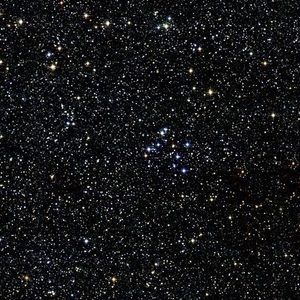 Meet your Posher, Karla